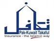 Nikal logo - CCI client